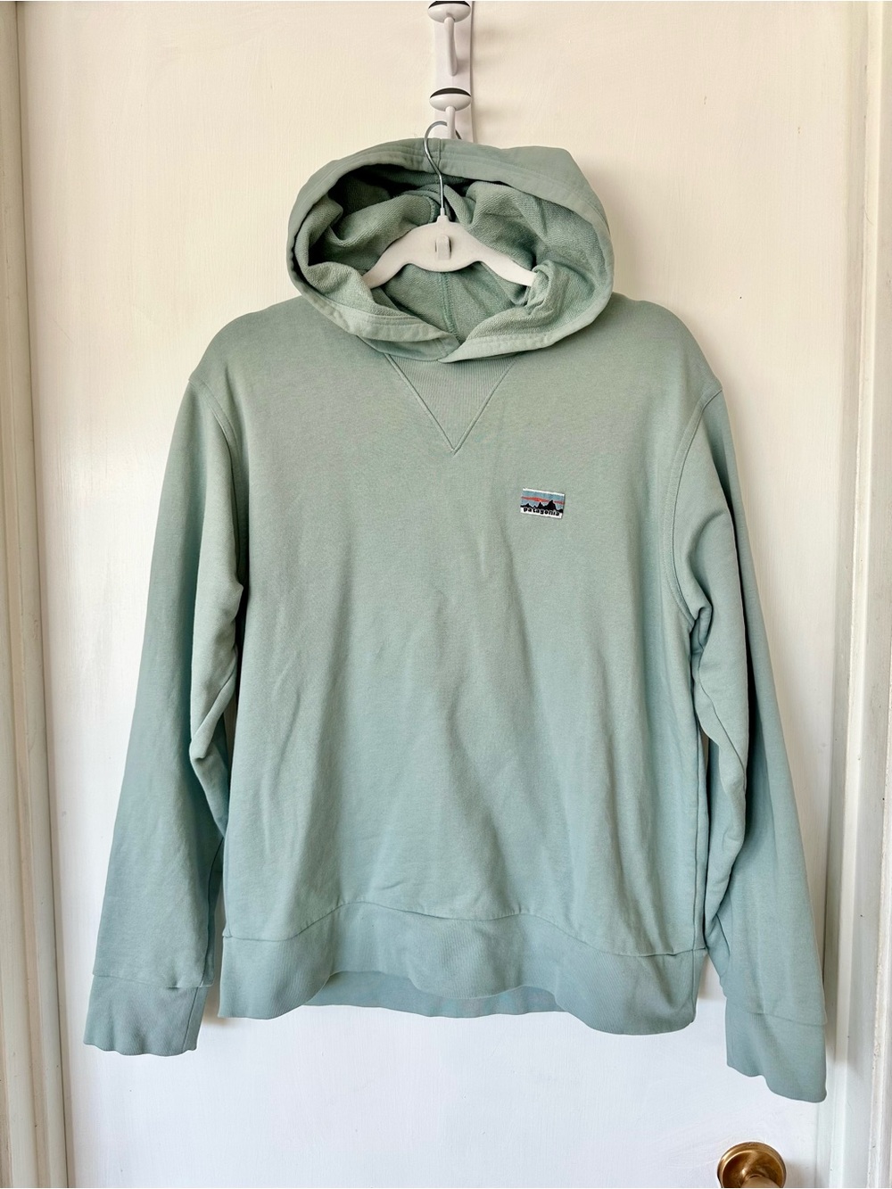Patagonia 100% Organic Cotton Icy Blue Pullover Daily Hoodie Women’s Small